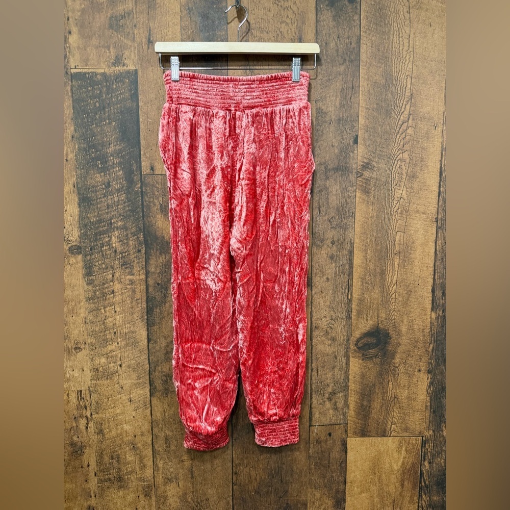 Anthropologie Rosie Floral Embroidered Crushed Velvet Joggers XS EUC - Picture 3 of 8